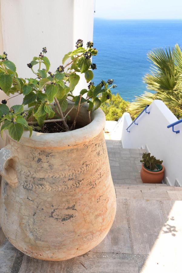 Panormos  Mouselis Apartments מראה חיצוני תמונה